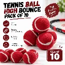 tennis balls (5).webp