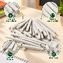Shivani Natural Slate Pencils (3).webp