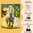 A5 3 in 1 Notebook - 144 pg (2).webp