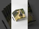 youtube - [Video]