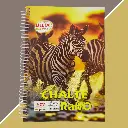 A4 Spiral 400 Pg (2).webp