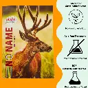 A4 Notebook - Pack of 3 - 392 Ruled Pages Each - Soft Cover - 21 x 29.5 cm - 58 GSM - Notebooks Combo Pack for Students & Professionals (3).webp