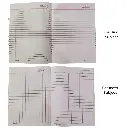 3 in 1 Delta 176 Pg (4).webp