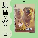 A4 Spiral Notebook – 500Pg (2).webp