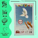 pack of 10 notebooks with 280 pages ruled soft cover