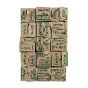 Riya Saleti (2).webp