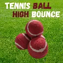 red tennis balls pack of 10 high bounce training balls