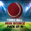 red tennis balls pack of 10 high bounce training balls