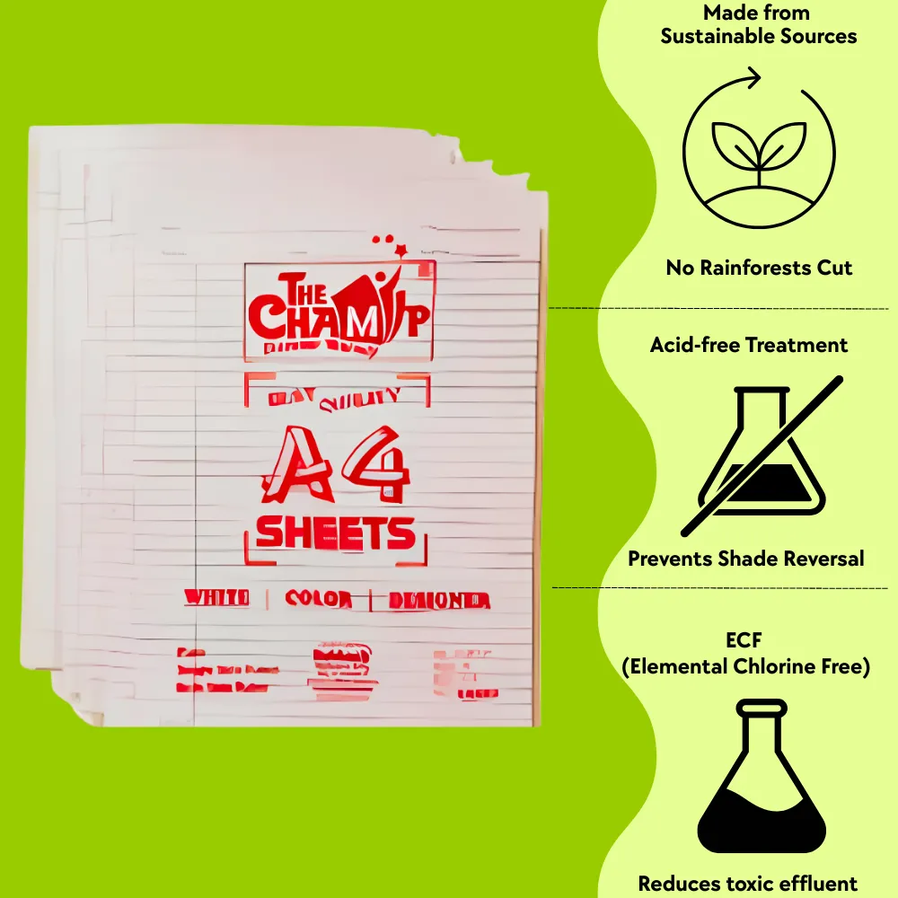 Project paper