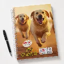 Delta Spiral Notebook 500 Ruled Pages-1.webp
