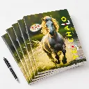 Delta 3-in-1 A5 Notebooks 144 Ruled Pages-1.webp