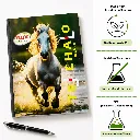 Delta 3-in-1 A5 Notebooks 144 Ruled Pages-5.webp