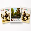 Single Line Notebook – Pack of 5 – 144 Ruled Pages-6.webp
