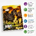 Delta A4 Unruled Spiral Notebook  (4).webp
