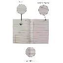 A5 Single Line Notebooks (Pack of 5)144 Pages – Soft Cover (2).webp