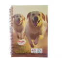 Delta A4 Spiral Notebook – 500 Ruled Pages Soft Cover for Students & Office Use