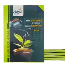 The Champ Notebook - Pack of 5 - A4 Size - 120 Ruled Pages - Soft Cover 