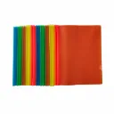 A4 Report File Set of 20 – Multicolor Plastic Report Files for Office & School Use